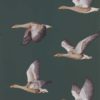Elysian Geese 216608